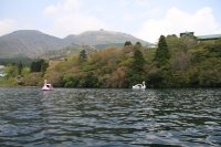 IMG_1157.JPG